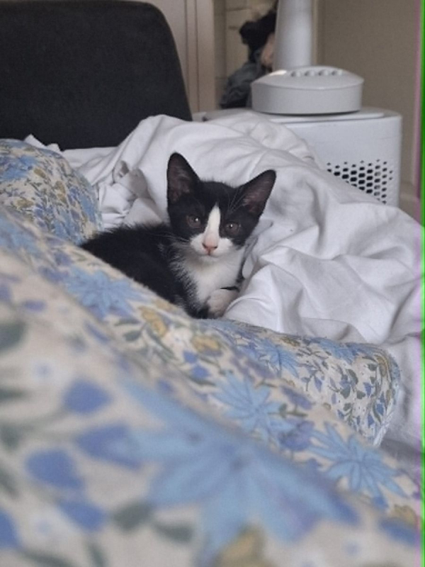 Photo #1 de Eliot
