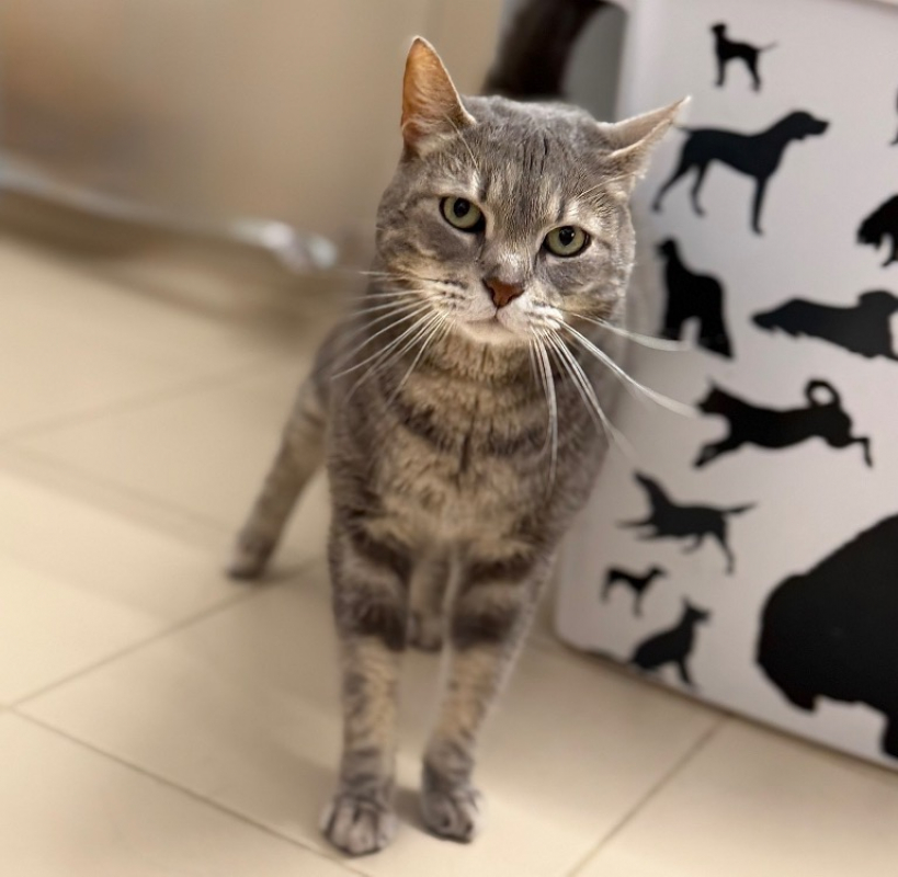 Photo de Pita