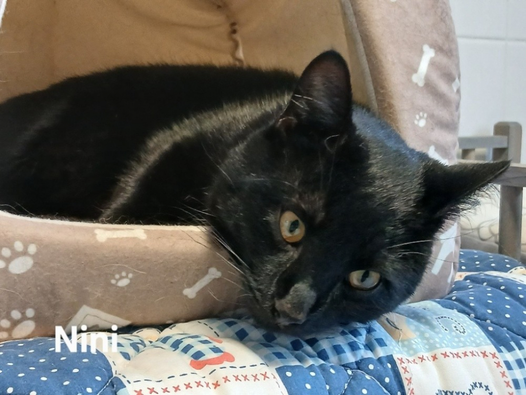 Photo de Nini