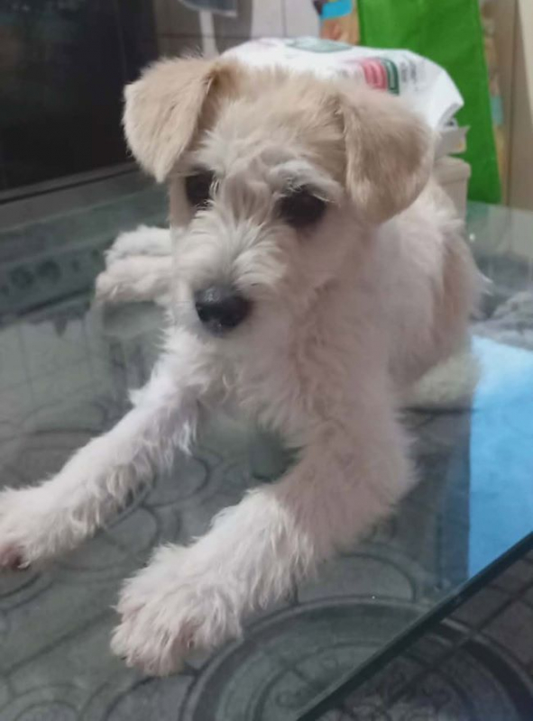 Photo #3 de Maya