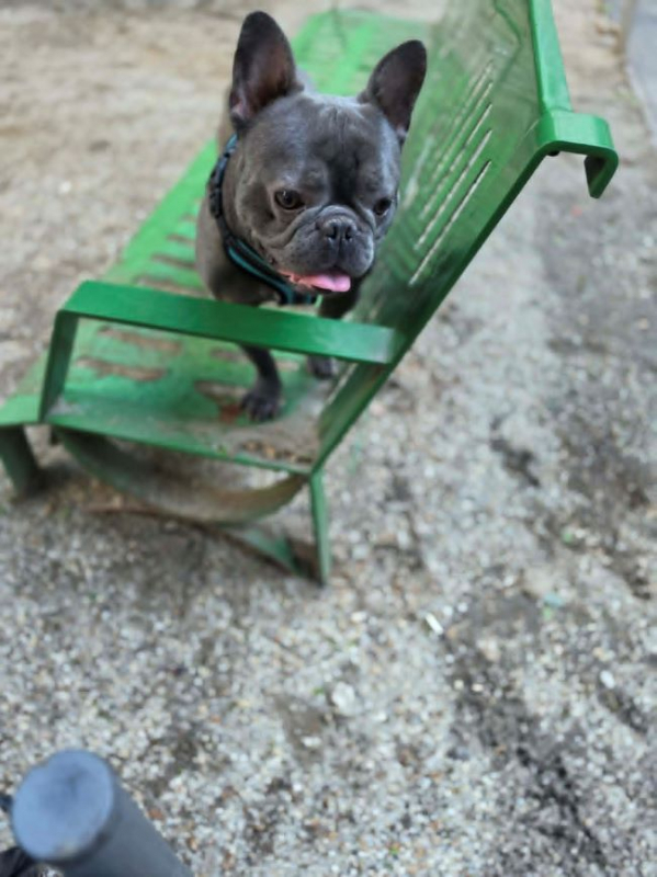 Photo #4 de Wally