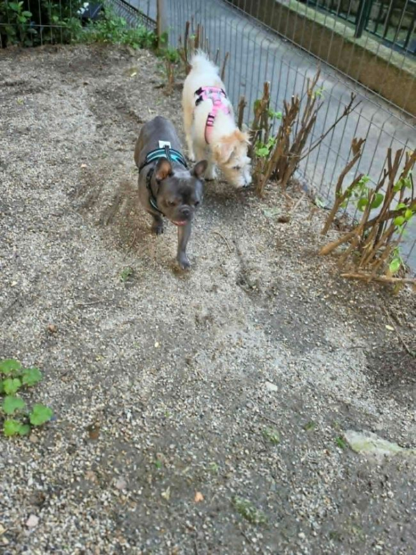 Photo #5 de Wally