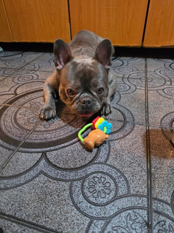 Photo #3 de Wally
