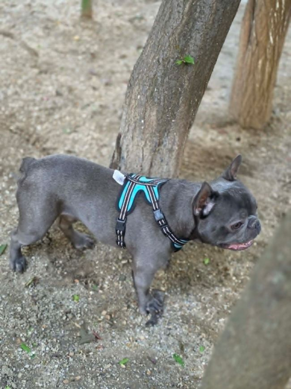 Photo #1 de Wally
