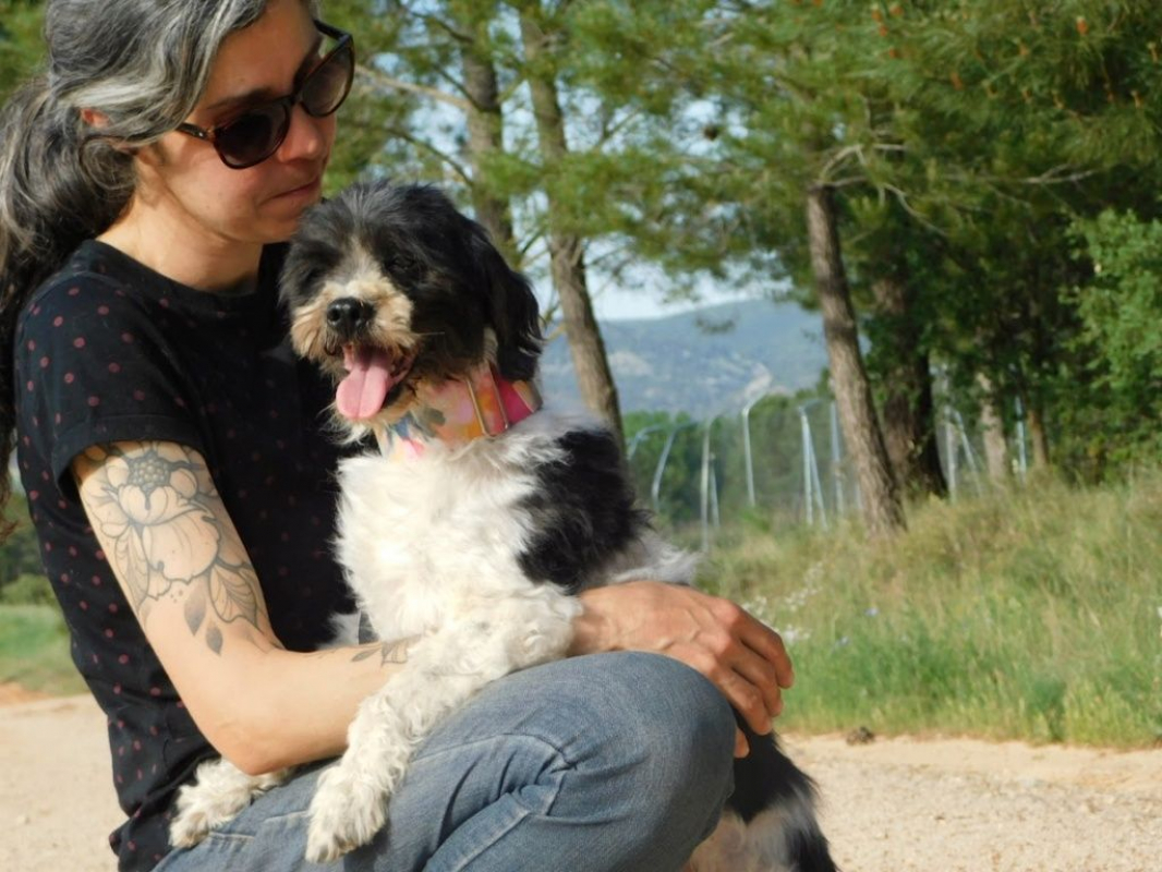 Photo #2 de BOB