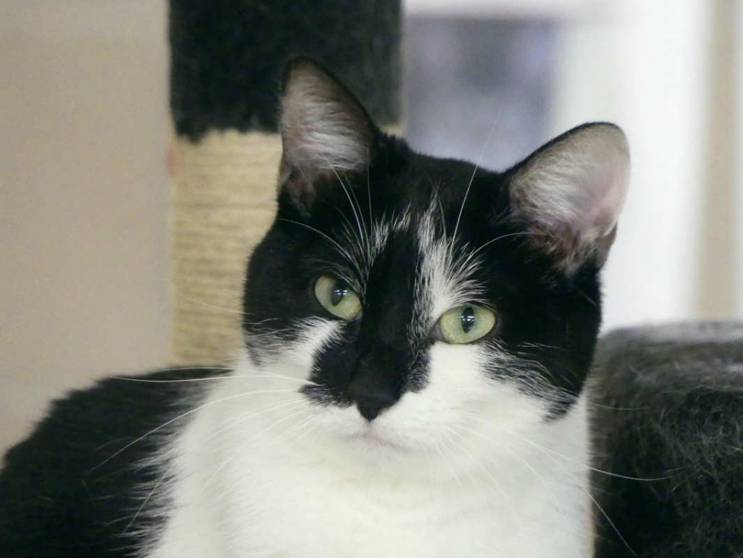 Photo #1 de Te fiti réservé