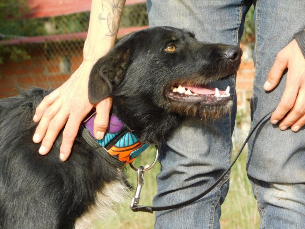 Photo #5 de ENEKO