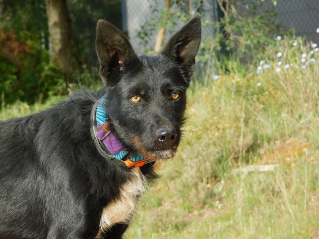 Photo #7 de ENEKO