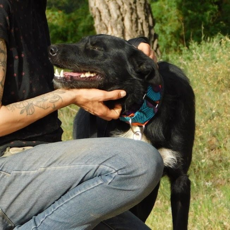 Photo #3 de ENEKO