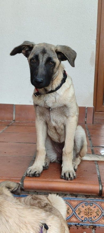Photo #1 de GALTA