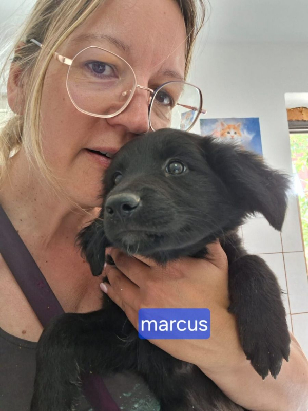 Photo #1 de marcus