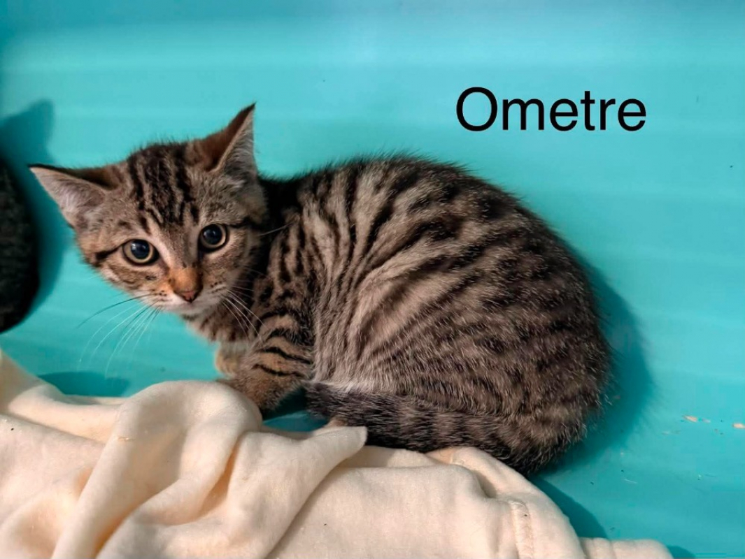 Photo de Ometre