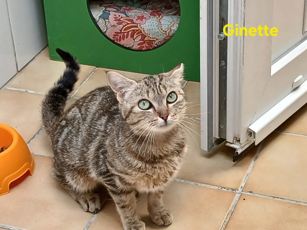 Photo de Ginette
