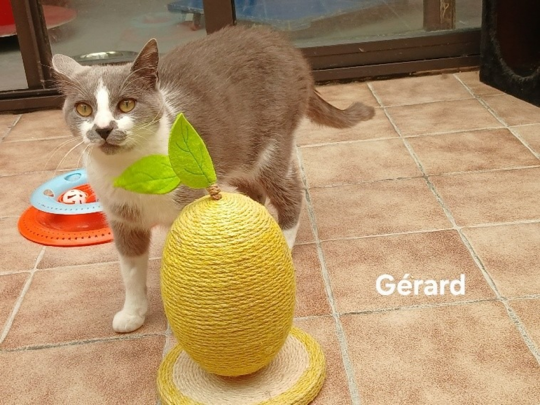 Photo de Gérard
