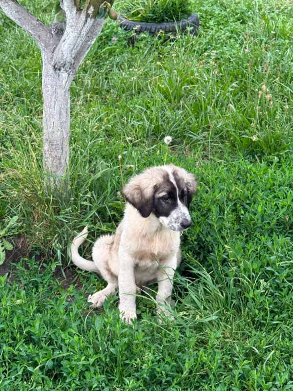 Photo #2 de nookie
