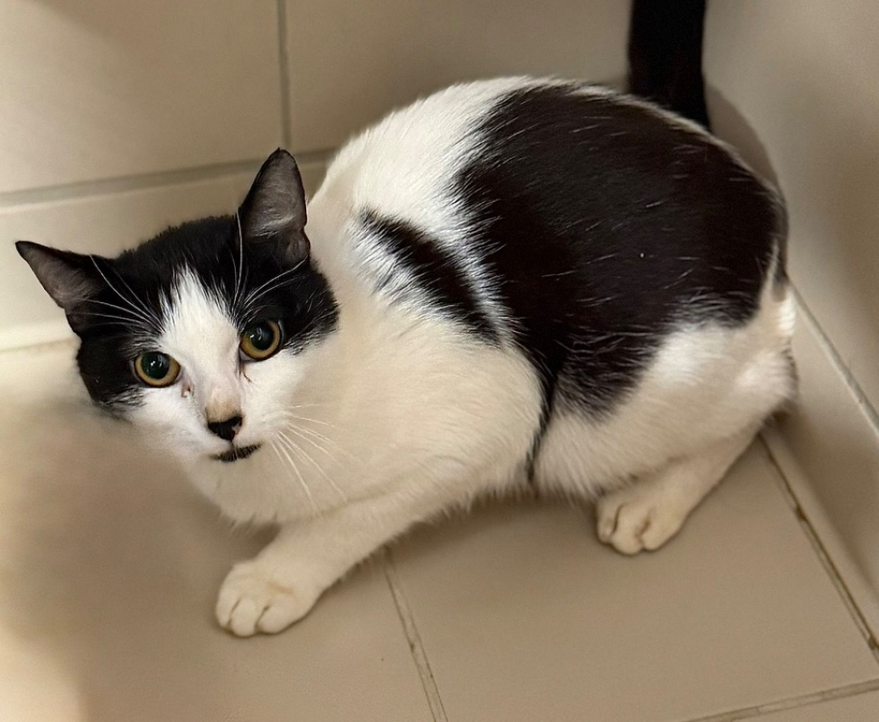 Photo de Calypso