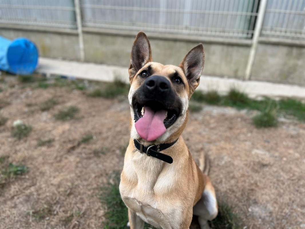 Photo de Titan