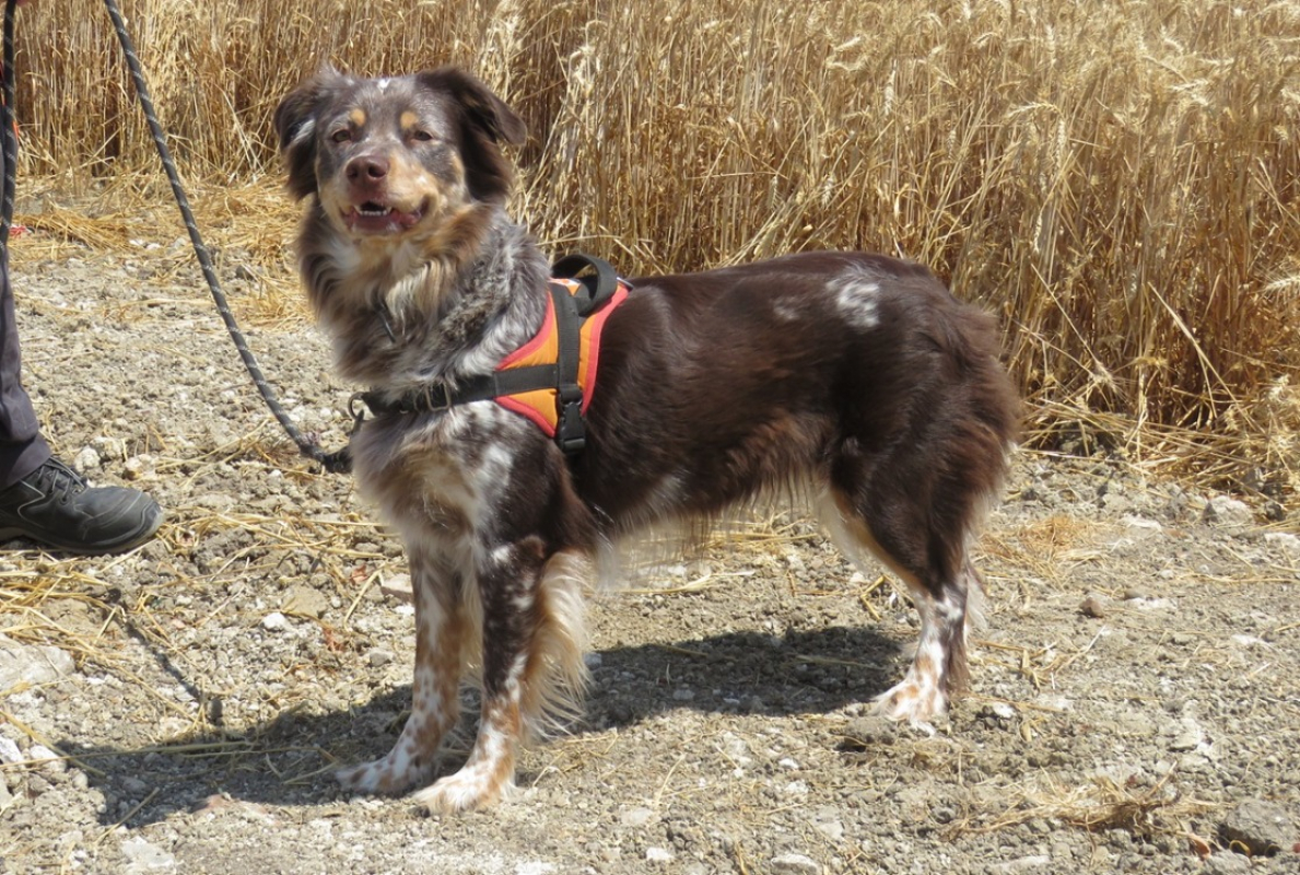 Photo #2 de Phoebe