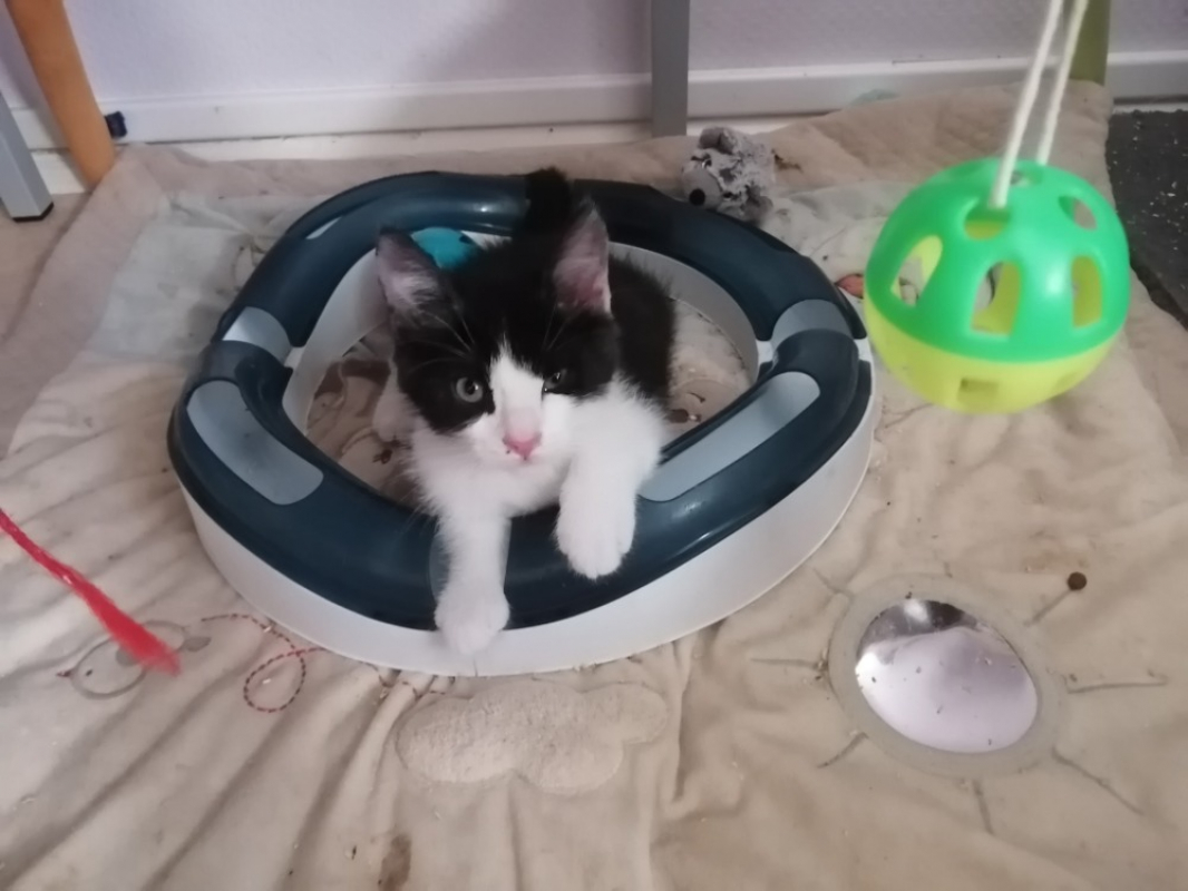 Photo de Caramel