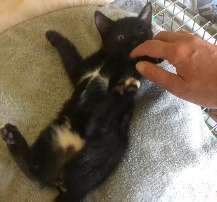 Photo de Kira