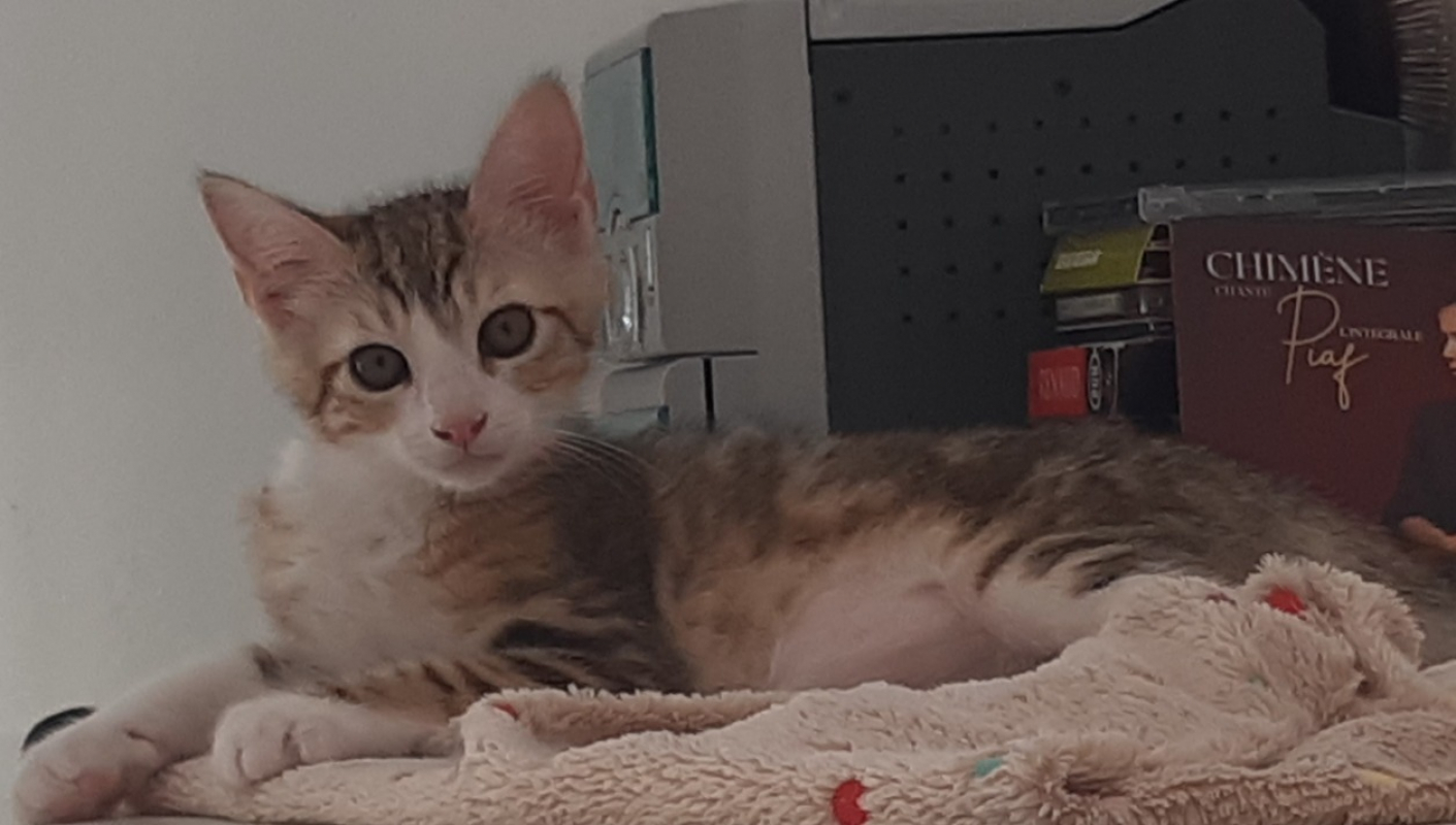 Photo de Oscar