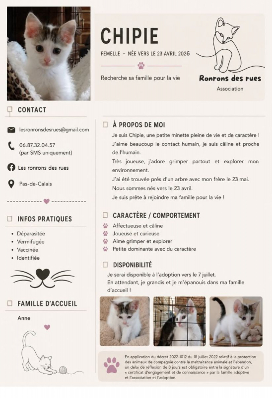 Photo #1 de Chipie