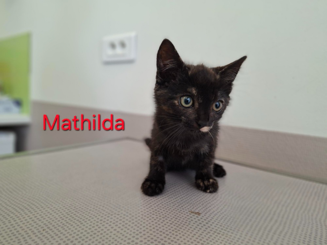 Photo de Mathilda