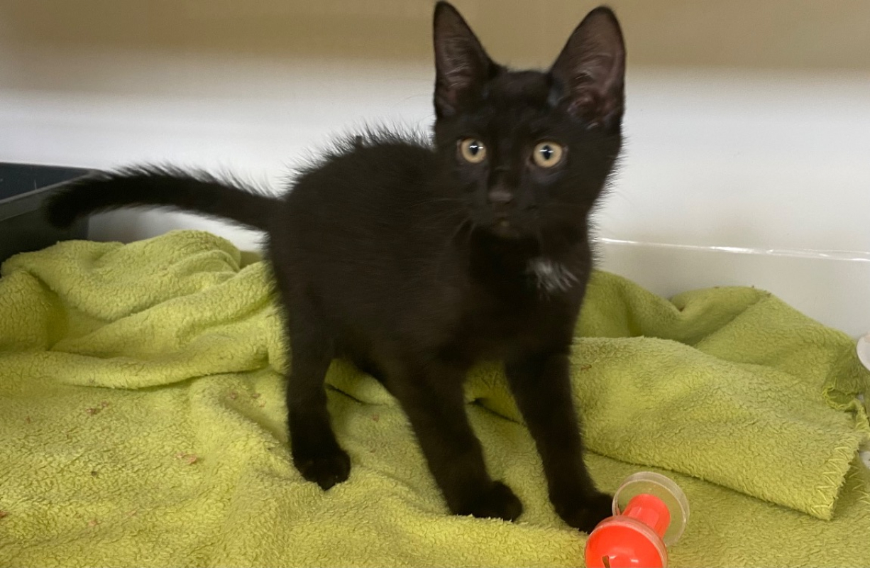 Photo de Maia