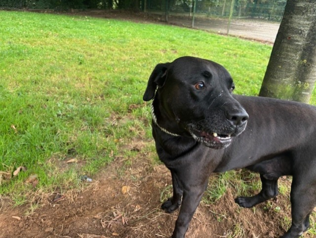 Photo #2 de Bhairava