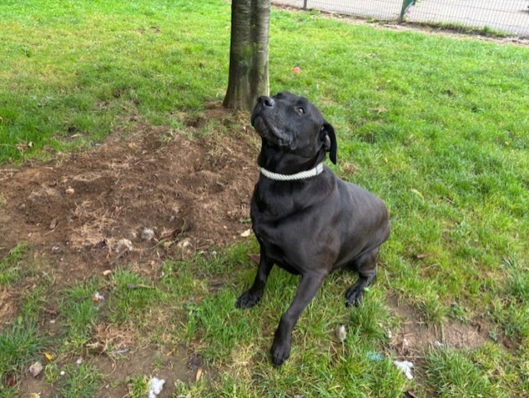 Photo #3 de Bhairava