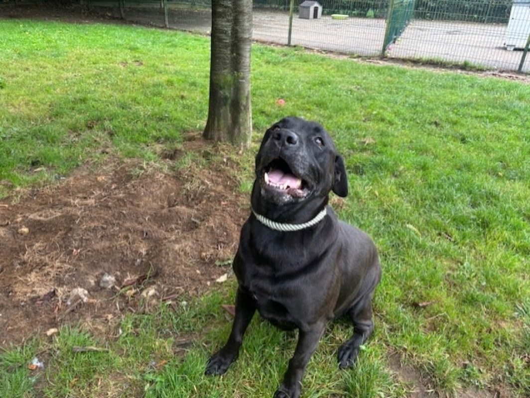 Photo #1 de Bhairava