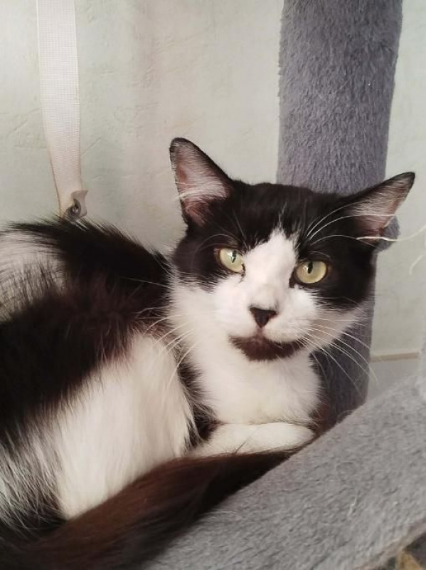 Photo de Béline 2 ans