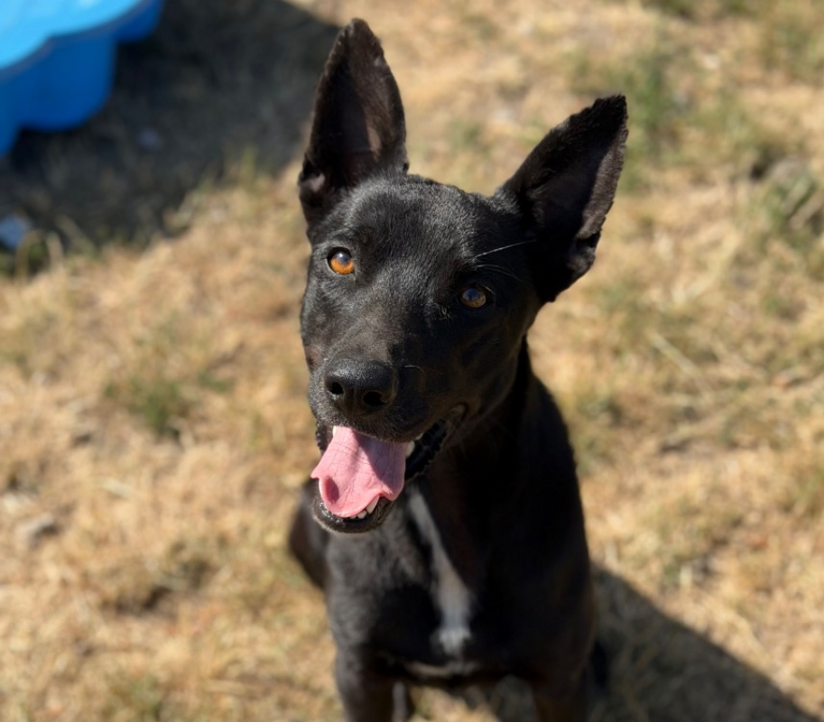 Photo de Vasko