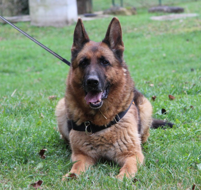 Photo #1 de Othello
