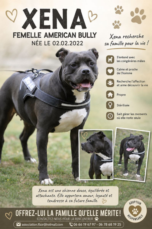 Photo de Xena