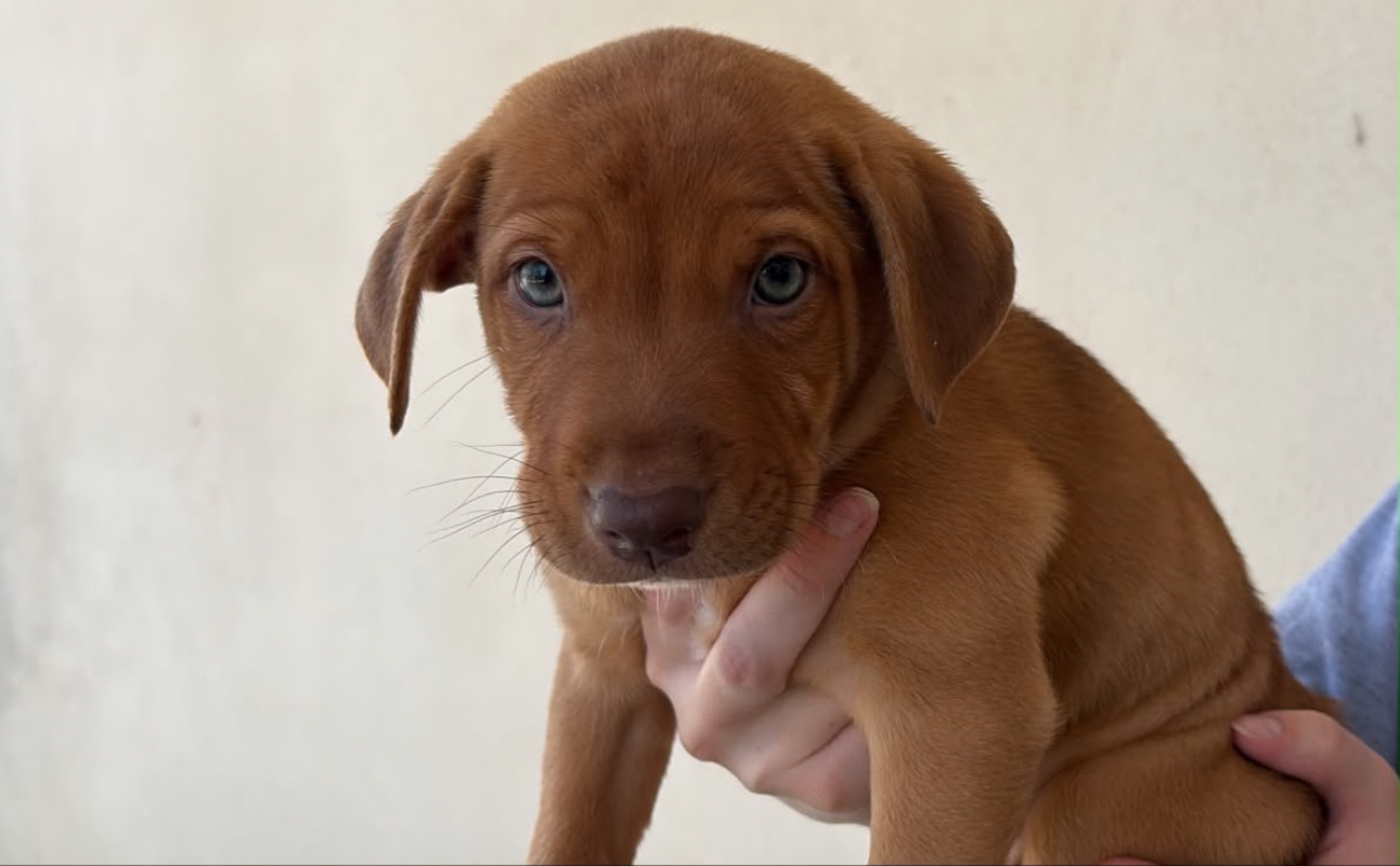 Photo de Darwin