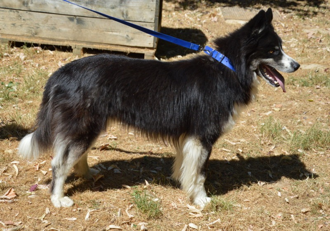 Photo #3 de Thor