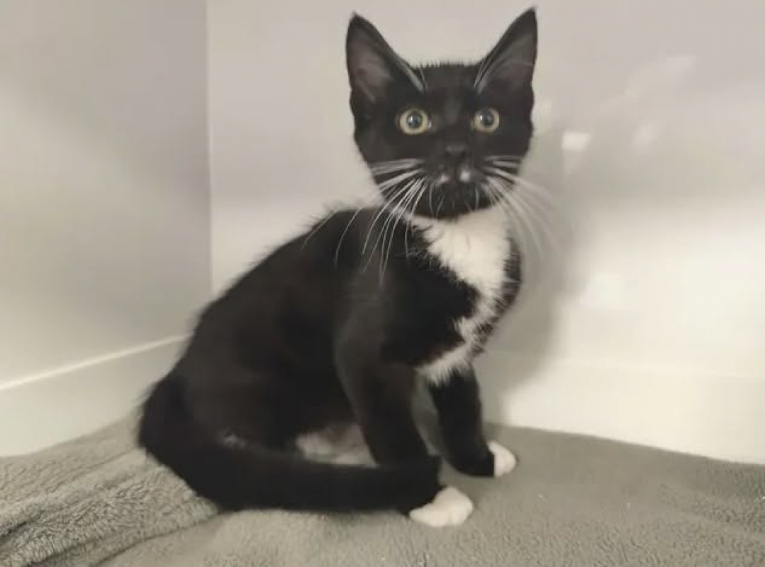 Photo de Figaro