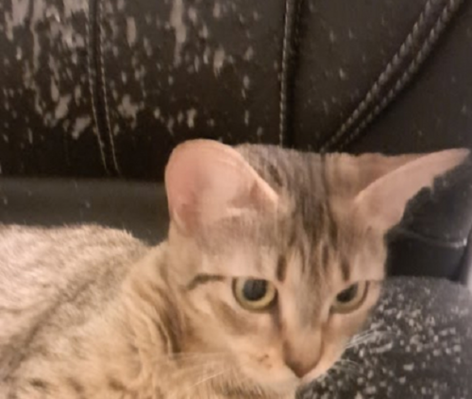 Photo de Astrid