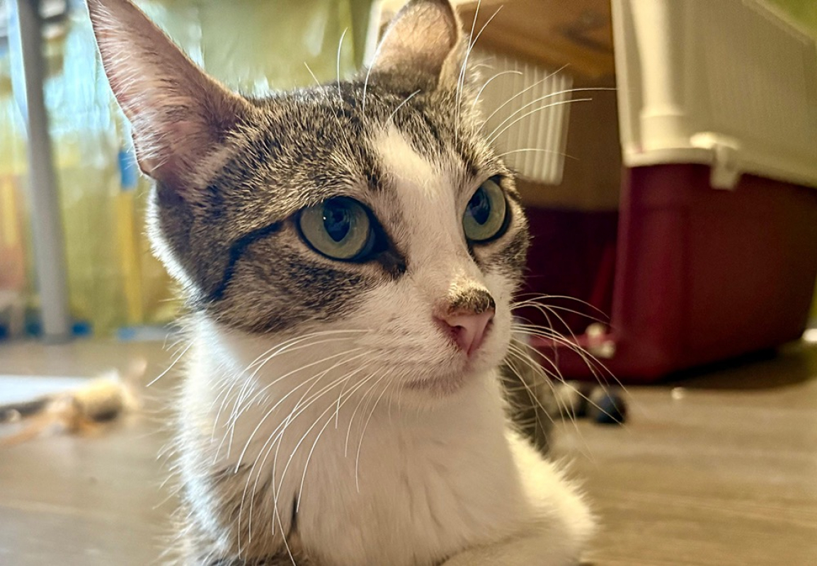 Photo de Mimi