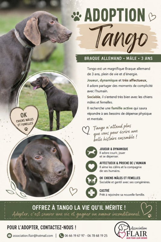 Photo de Tango