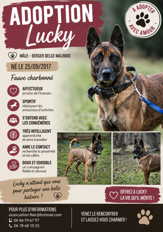 Photo de Lucky