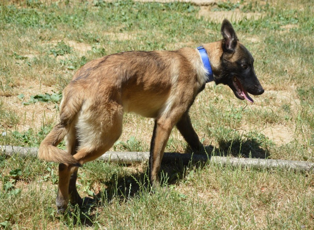 Photo #2 de Karl