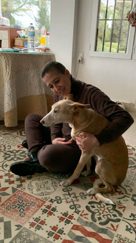 Photo #2 de Kira 3 a l'adoption dans toute la France 