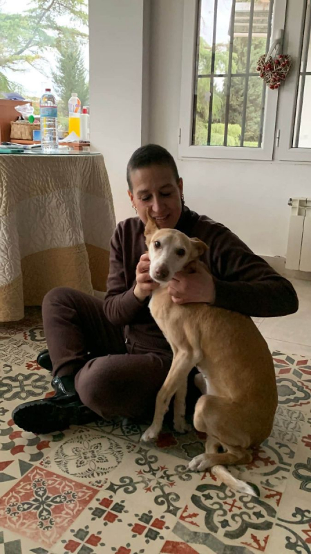Photo #4 de Kira 3 a l'adoption dans toute la France 