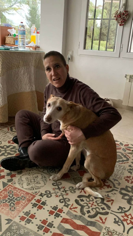Photo #3 de Kira 3 a l'adoption dans toute la France 
