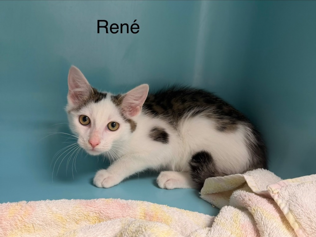 Photo de René