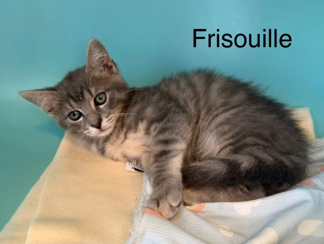 Photo de Frisouille