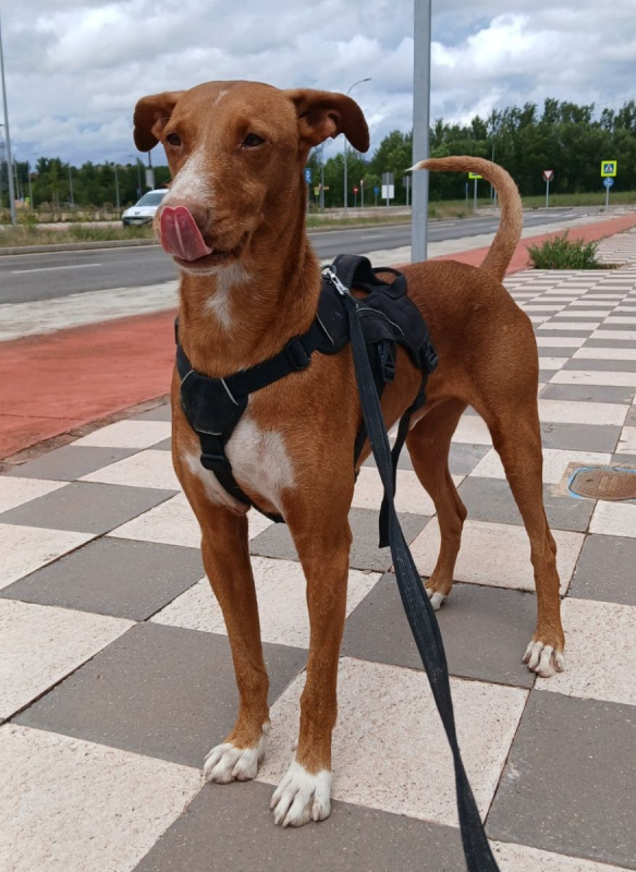 Photo #3 de COCO