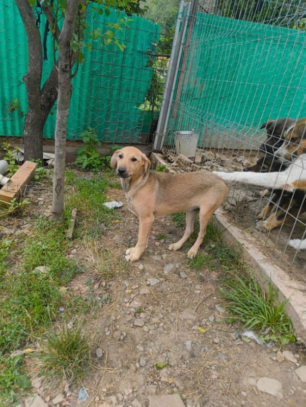 Photo #4 de Radar